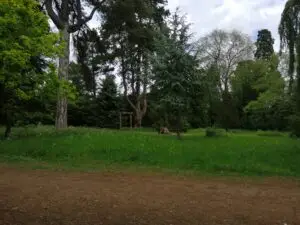 Walk and Talk View Outdoors