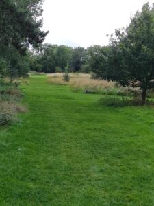 Bradlaugh Fields Walking Route