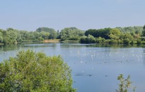 One of the Lakes at Northampton Washland