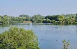 One of the Lakes at Northampton Washland