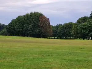 The Racecourse