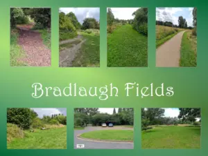 7 pictures of Bradlaugh Fields