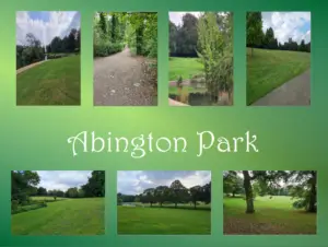 7 pictures of Abington Park