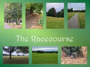 7 pictures of Northampton Racecourse